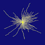 Astrocyte Spinal Cord Cell #1 Art Print