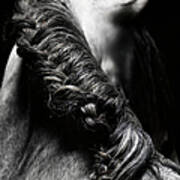 Braided Mane Of Grey Horse #1 Art Print