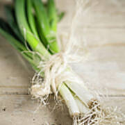 Bunch Of Spring Onions Tied With #1 Art Print