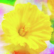 Daffy Daffodil 2 Art Print