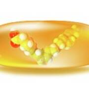 Dha Omega-3 Fatty Acid Model In An Oil Pill Art Print