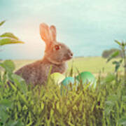 Easter Bunny With Easter Eggs On A Bed Of Grass #2 Art Print
