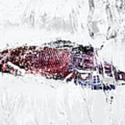 Fish In Ice #1 Art Print
