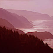 Forested Slopes Of Cape Perpetua #1 Art Print