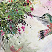 Hummingbird With Fuchsias #1 Art Print