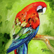 Macaw Tropical #1 Art Print