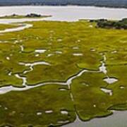 Salt Marshes And Estuaries Are Found #1 Art Print