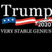 Trump 2020 Very Stable Genius #1 Art Print
