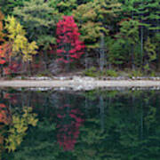 Walden Pond Fall Foliage Concord Ma Reflection Trees #1 Art Print