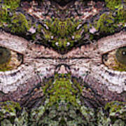 -  Watcher In The Wood #2 - Human Face And Eyes Hiding In Mirrored Tree Feature - Green Man Art Print