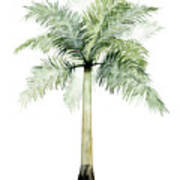 Watercolor Palm Of The Tropics Ii #1 Art Print