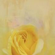 Yellow Rose #2 Art Print