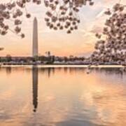 Washington Dc, Usa At The Tidal Basin #12 Art Print