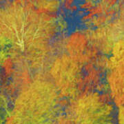 Autumn On Garret Mountain #2 Art Print