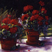Red Geranium Pots Art Print
