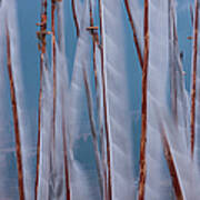 Prayer Flags, Paro Valley, Bhutan #2 Art Print