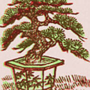Bonsai Tree #4 Art Print