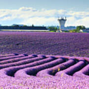 France, Provence-alpes-cote D'azur, Provence, Valensole, Lavender Field Near Valensole #4 Art Print