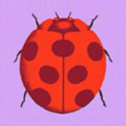 Ladybug #4 Art Print