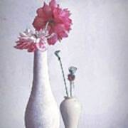 Pink Lotus #4 Art Print