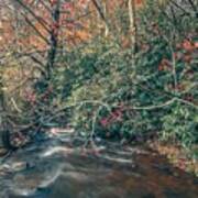 Scenic Views Along Virginia Creeper Trail #4 Art Print