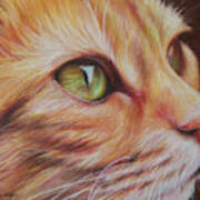 Ginger Cat Art Print