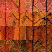 Swatches - Autumn Leaves Inspired By Gerhard Richter #5 Art Print