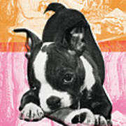 Boston Terrier #6 Art Print
