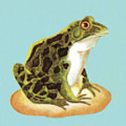 Toad #6 Art Print