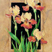 9746 Framed Iris Art Print