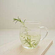 A Cup Of Rosemary Tea Art Print