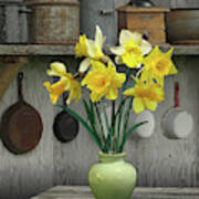 A Place For Daffodils Art Print