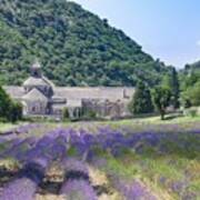 Abbey Of Senanque And Blooming Rows Art Print