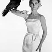 Actress Tippi Hedren Posing With A Raven Art Print