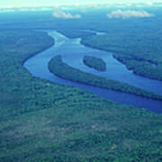 Aerial Shot Of The Amazon River Art Print