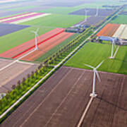 Aerial View Wind Turbines & Tulip Art Print