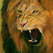 African Lion Ferocity Art Print
