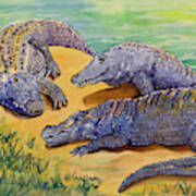 Alligator Storytime Art Print