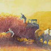 Amish Hay Wagon Art Print