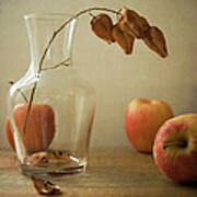 Apples And Vase Art Print