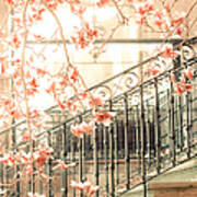 Apricot Flowers With Railings Art Print