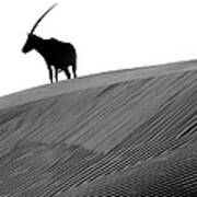 Arabian Oryx And The Myth Of The Unicorn Art Print