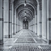 Arched Walkway Art Print