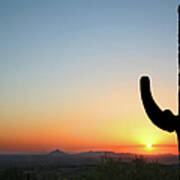Arizona Cactus At Sunset Art Print