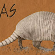 Armadillo Art Print