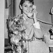 Audrey Hepburn Talking On The Phone Art Print