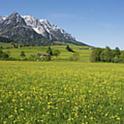 Austria, Tyrol, Kaisergebirge Art Print