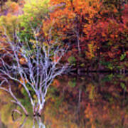 Autumn At Alum Creek Art Print