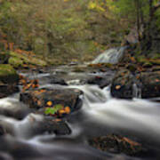 Autumn At Bear's Den Falls Art Print