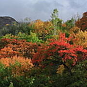 Autumn At Hunza Art Print